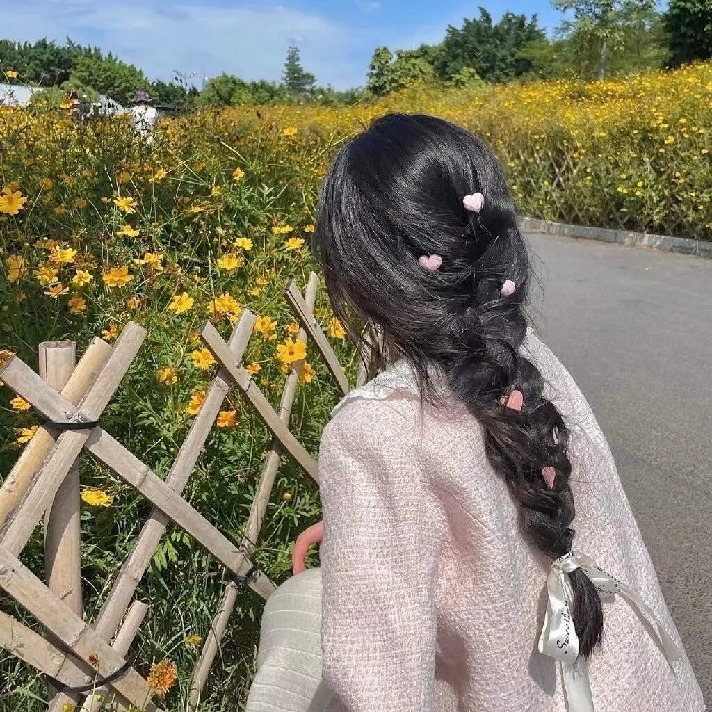 盗贼泰瑞莎